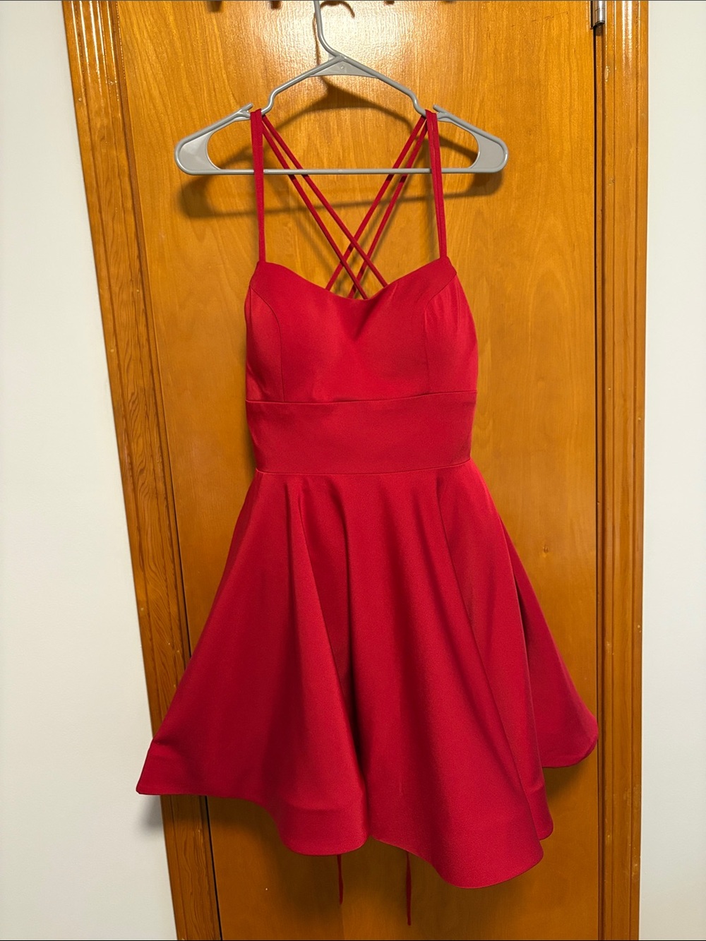 Blush Red Crisscross Spaghetti Strap Mini Dress
